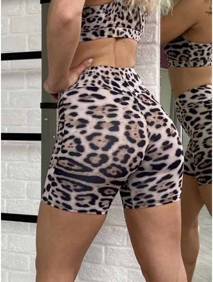 Hose BEAUTY K038 leopard MITARE