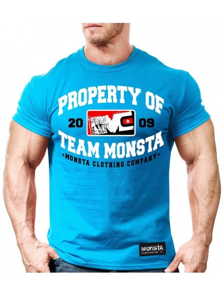 T-shirt męski M034 Blue MONSTA 2